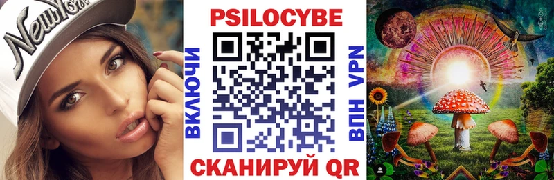 кракен маркетплейс  Красный Сулин  Псилоцибиновые грибы Psilocybe 